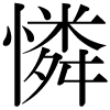 DNP字形