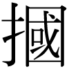 DNP字形