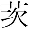 DNP字形
