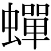 DNP字形
