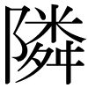 DNP字形