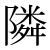 「隣」のDNP基本字形