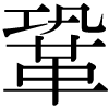DNP字形