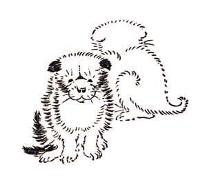 むくむくの仔犬