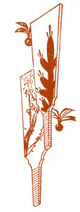 羽子板
