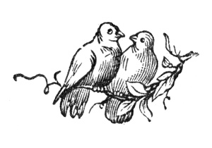 鳩