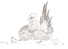 鳥のイラスト