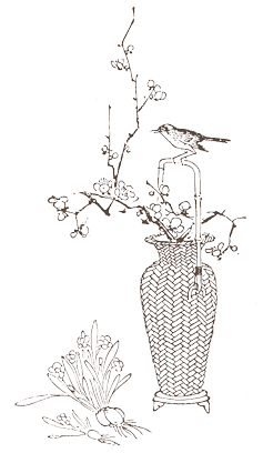 鳥のイラスト